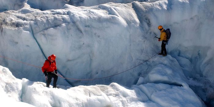Arctic winters bring rain instead of snow
