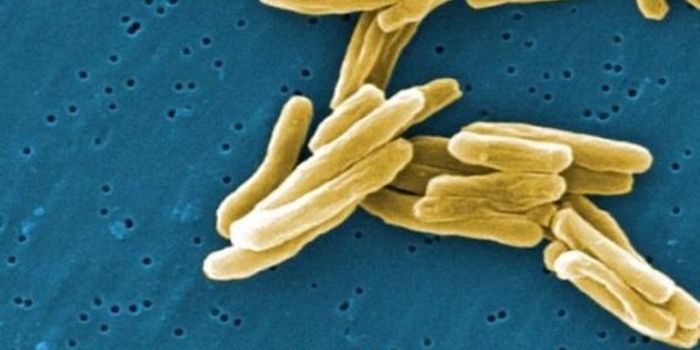 The Evolution and Spread of Drug-resistant Tuberculosis