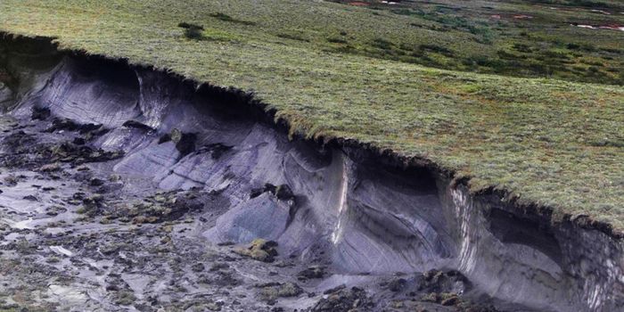 Thawing ice may expose deadly diseases