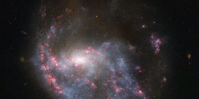 The Universe Might Not Have Any Dark Energy After All
