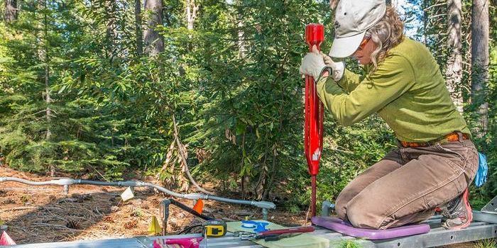 Deep Soil Organic Compounds Vulnerable to Climate Change