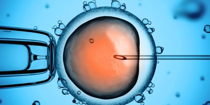 Online Calculator Predicts IVF Success