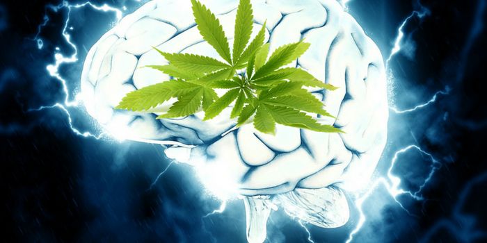 Cannabinoids for Dementia
