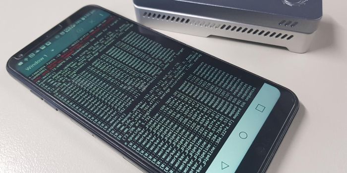 Analyzing Genomic Data in the Field