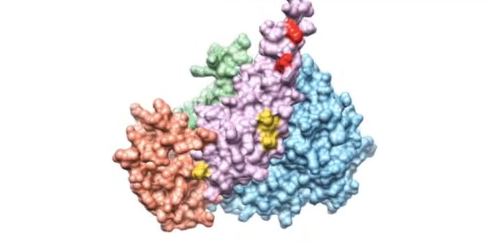 Combining Methods to Learn More About Protein Interactions