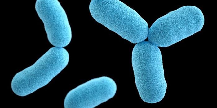 As Diphtheria Cases Rise & More Become Drug Resistant, It May Become a Threat