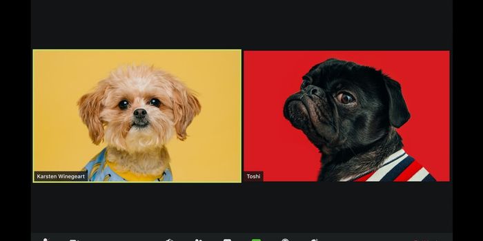 Does Screen Time Affect Vision?