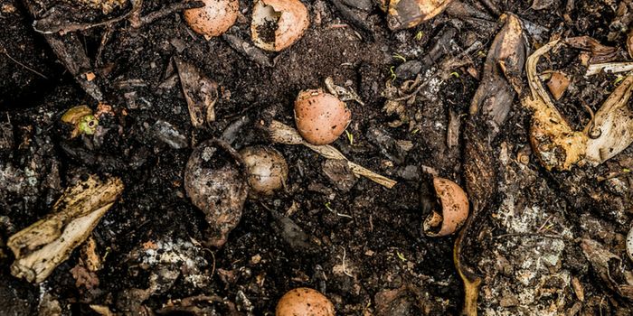 Green, Multifunctional Rubber-from Rubbish