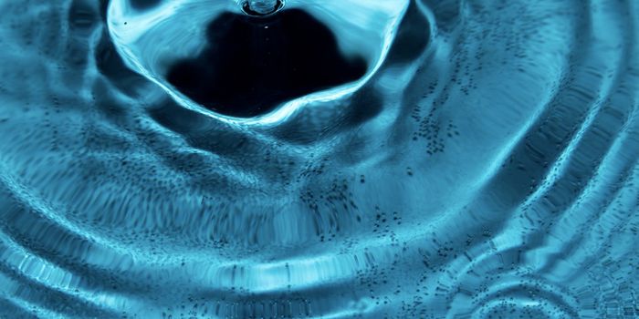 Thousands of Novel RNA Viruses Found In Ocean Water Samples