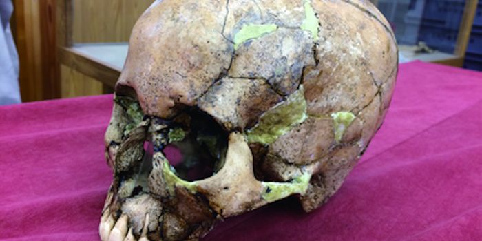 A New Understanding of Japanese History Through Genetics