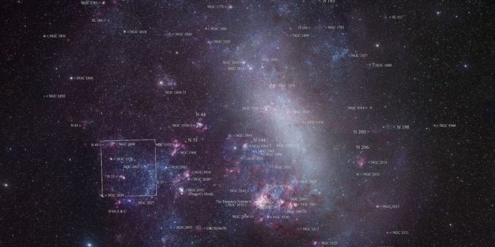 Were There Originally Three Magellanic Clouds?