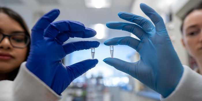 Test IDs Bacterial Contamination in Fluids, Without a Lab