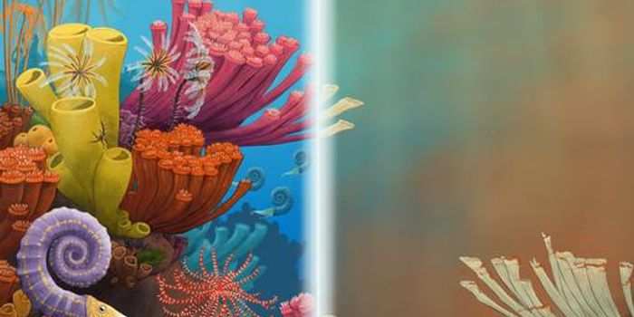 Climate Change and Extinction: Insights from the Fossil Record of Marine Invertebrates