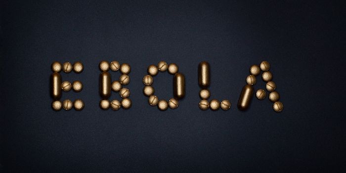 New Technology Allows for Quick Ebola Diagnosis