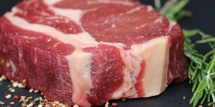 Solving Lab-Grown Meat's Expensive Problem