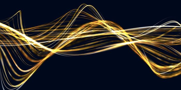 A New Kind of DNA Editor in Miniature