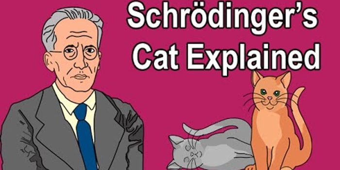 Dead or Alive? Schrödinger's Cat Explained