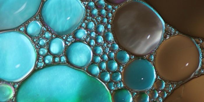 Child Gut Health Linked to Migraines & Allergies