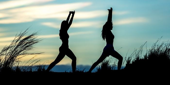 Blood Test Can Predict 30-Year Heart Disease Risk in Women