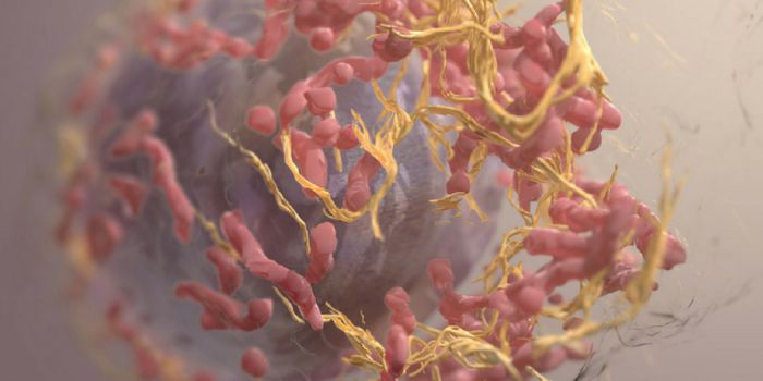 Detecting Skin Cancer at the Single Cell Level