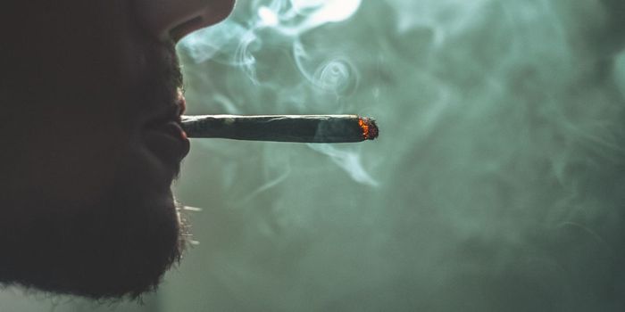 Smoking Cannabis Increases COVID-19 Risk