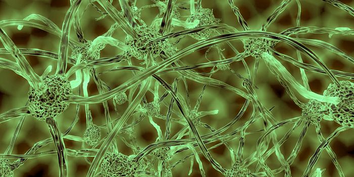 New Insights Into the Link Between a Toxic Protein & Neurodegeneration