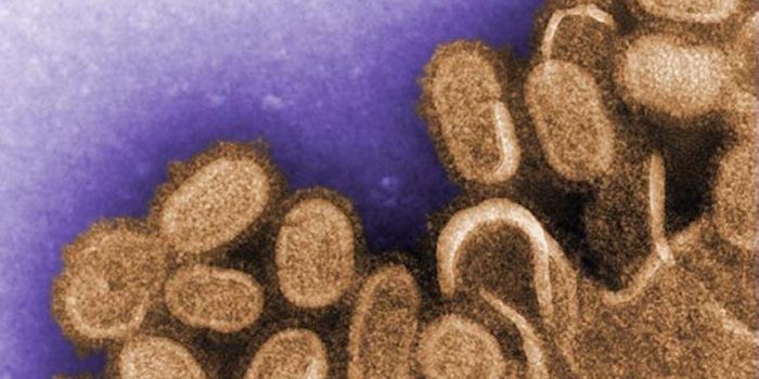 WHO Names the Top Threats to Human Health in 2019