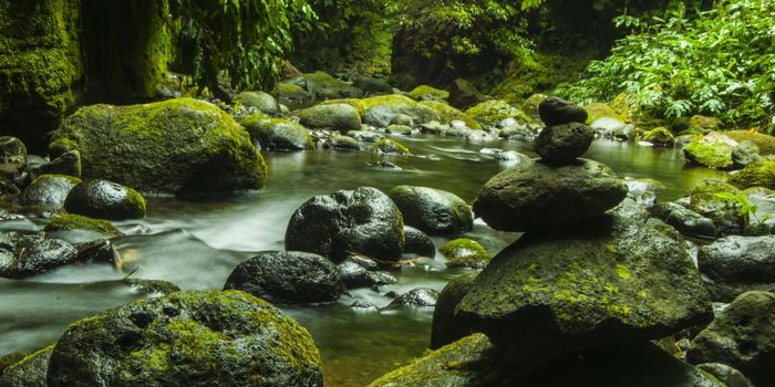 Virus from Danish Creek Kills Antibiotic-Resistant Bacteria