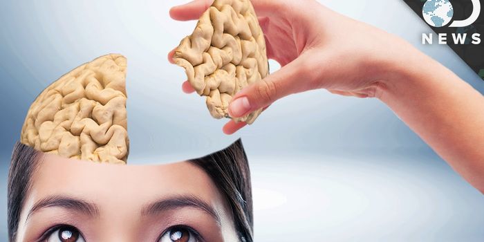 How Much of the Brain Can You Live Without?