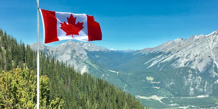 Study Highlights Outcomes of Canadian Legal Cannabis Over the Past Five Years