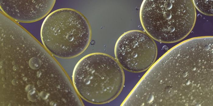 Immune Cell Fingerprints Can Help Reveal New Autoimmune Disease Treatments