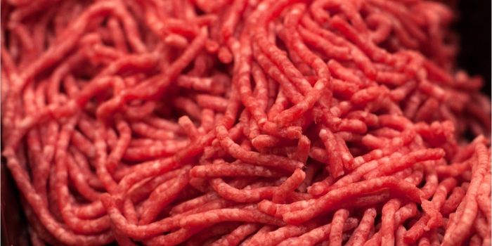 USDA Announces Ground Beef Recall