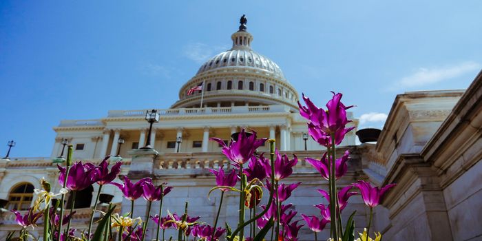 House Passes Bill to Expedite Cannabis Research