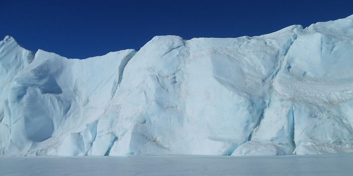 Scientists Discover Evidence of Ancient Rainforest in Antarctica