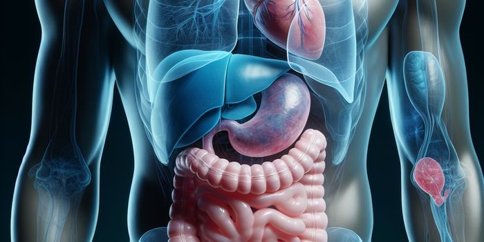 Study Finds No Association Between CBD Use and Liver Damage