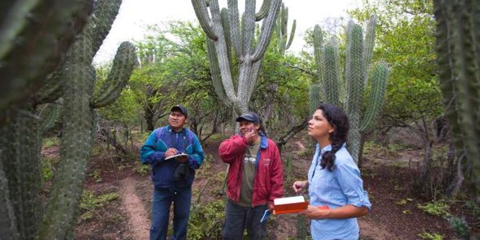 Enlisting Bolivia's Indigenous to save the Gran Chaco