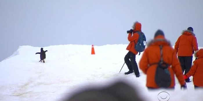 Can Tourism Fund Scientific Research?