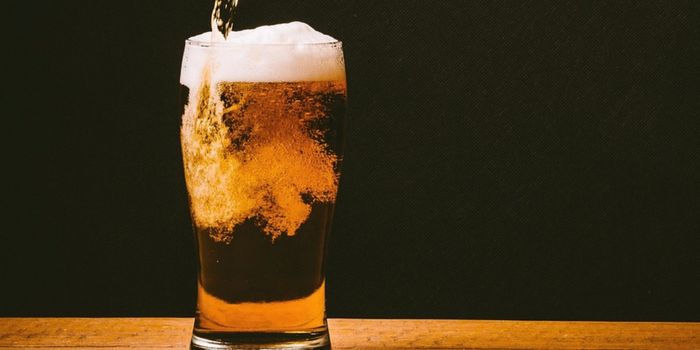 White Noise Accelerates Fermentation in Brewing
