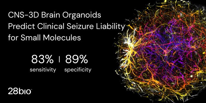 CNS-3D Brain Organoids Predict Clinical Seizure Liability