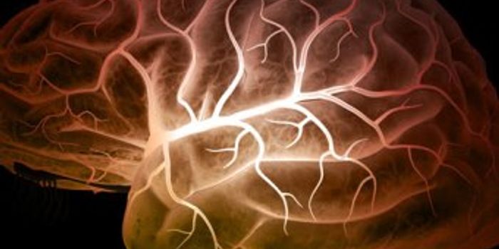 Biomarker indicates which victims of febrile seizures will later develop epilepsy