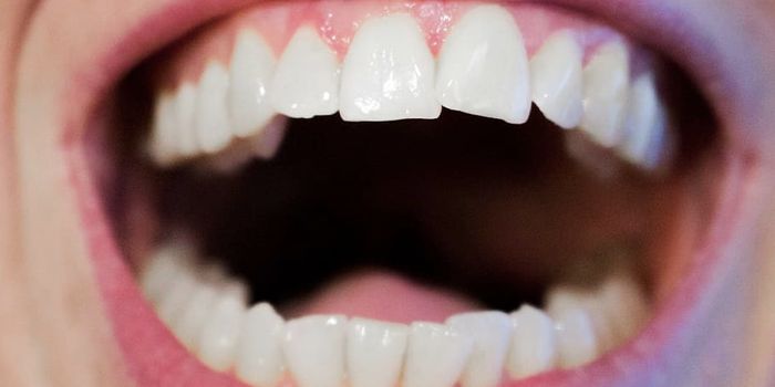 Mouth Microbes Play a Role in Oral Cancer Development