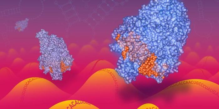 Targeting RNA With CRISPR