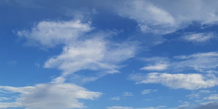 Researchers Detect DNA in Air Samples