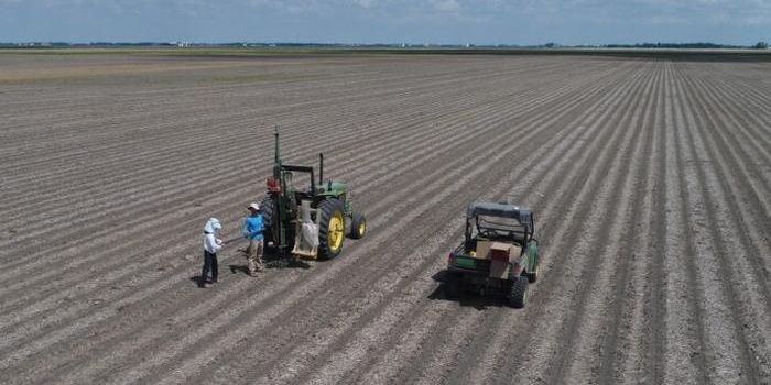 Soil Organic Carbon Stocks and Agricultural Activity: A Climate Change Concern