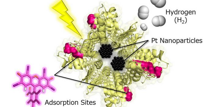 Boosting Hydrogen Electrochemical Production-with Eggs