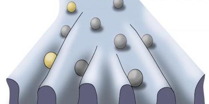 Barcoding Reveals Details of Blood Formation