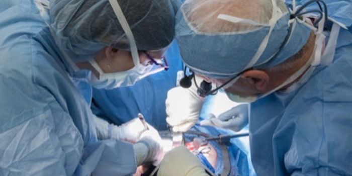 First US Uterus Transplant Failed, Organ Removed