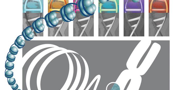 A Communal BLUEPRINT for the Future: High-quality epigenetic data in hand, and a look at the company that helps analyze it  