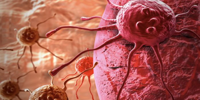 Microenvironment Study may Improve Tumor Research & Therapeutics