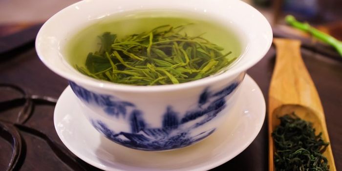 Can Green Tea Reverse Memory Impairment?